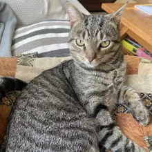 Winston